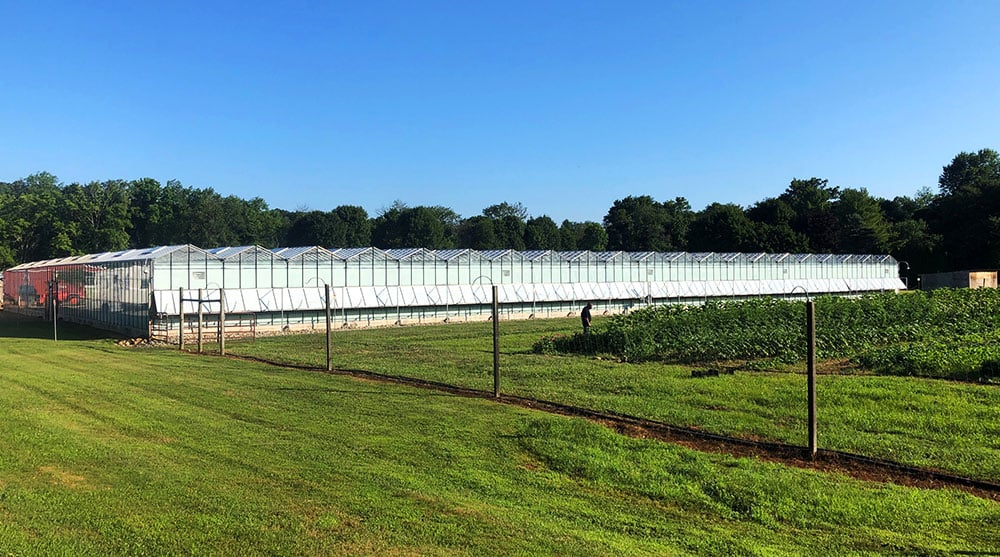 TerrAscend Receives Approval to Commence Cultivation at its New Jersey Greenhouse